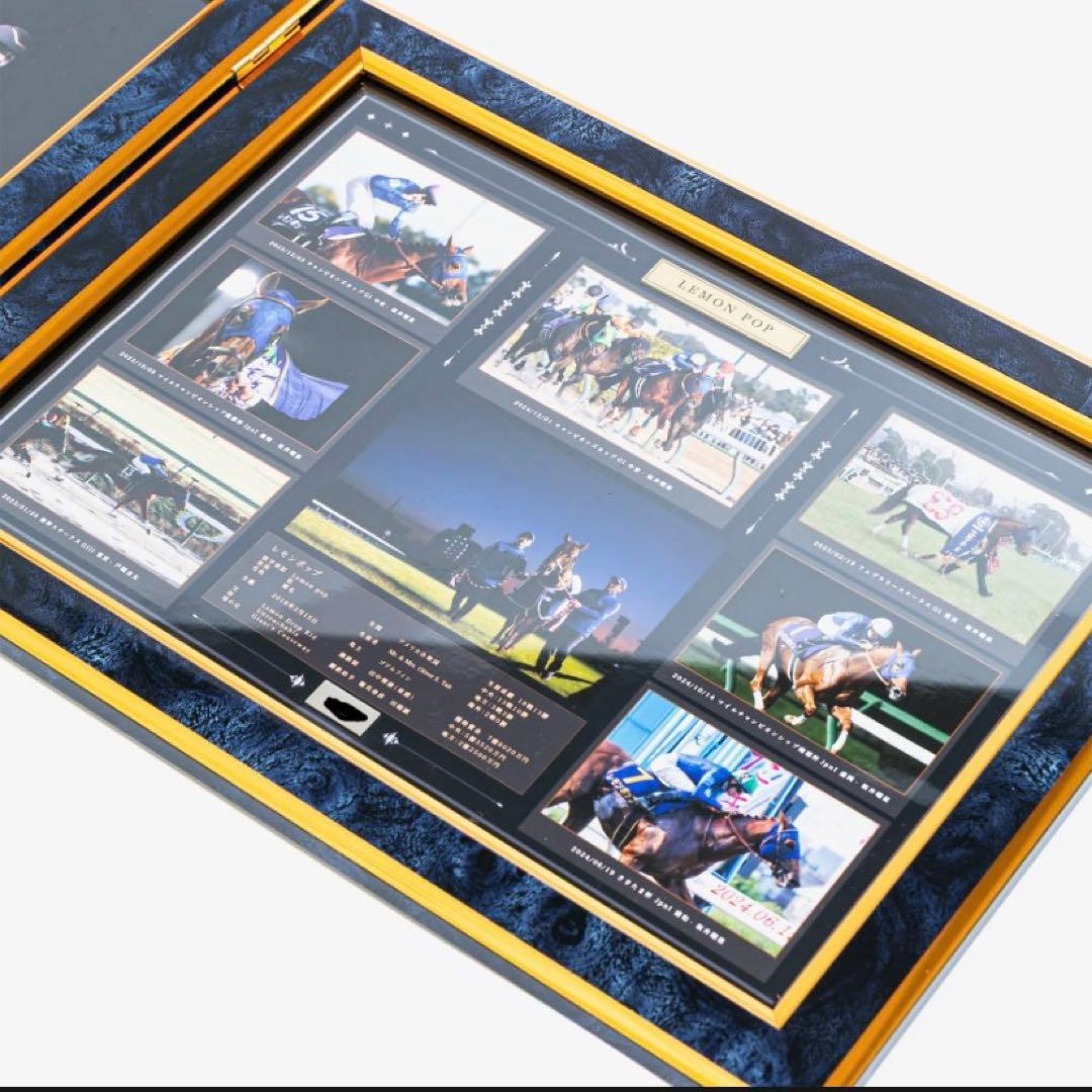 67%OFF【数量限定】レモンポップ引退記念写真デザインパネル