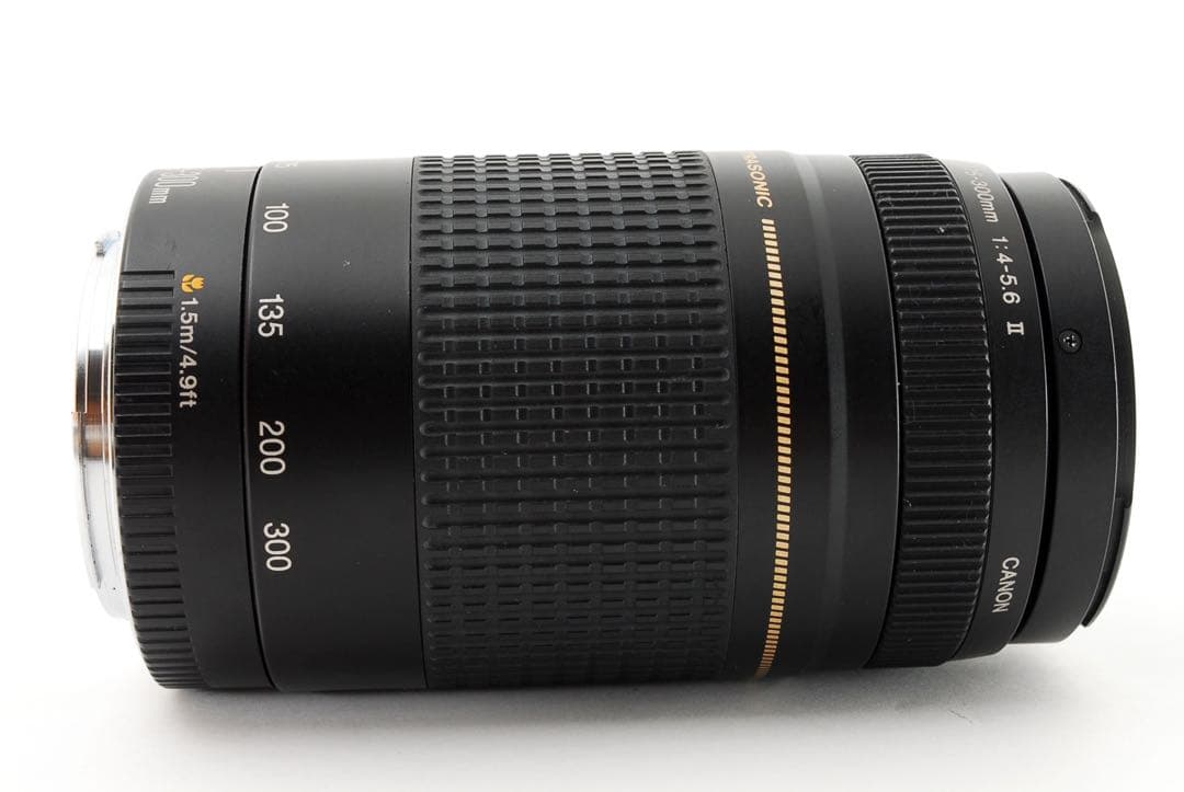 人気の望遠レンズ☆フード付き☆キヤノン Canon EF75-300㎜
