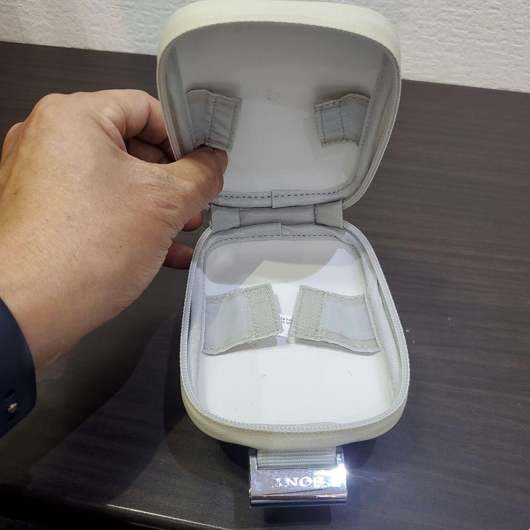 SONY HANDYCAM HDR-GW77　ケース付き