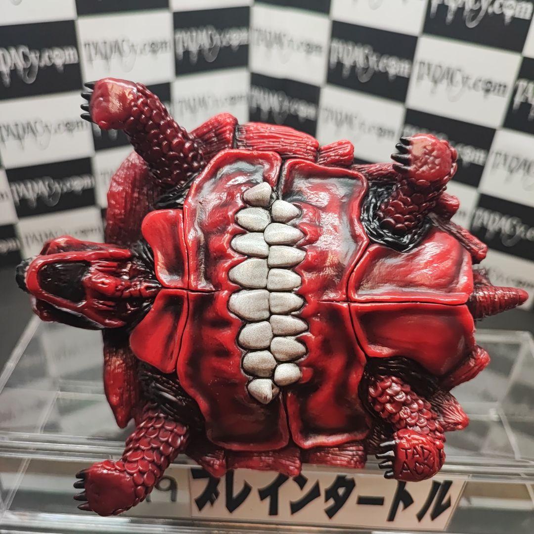 99ブレインタートル