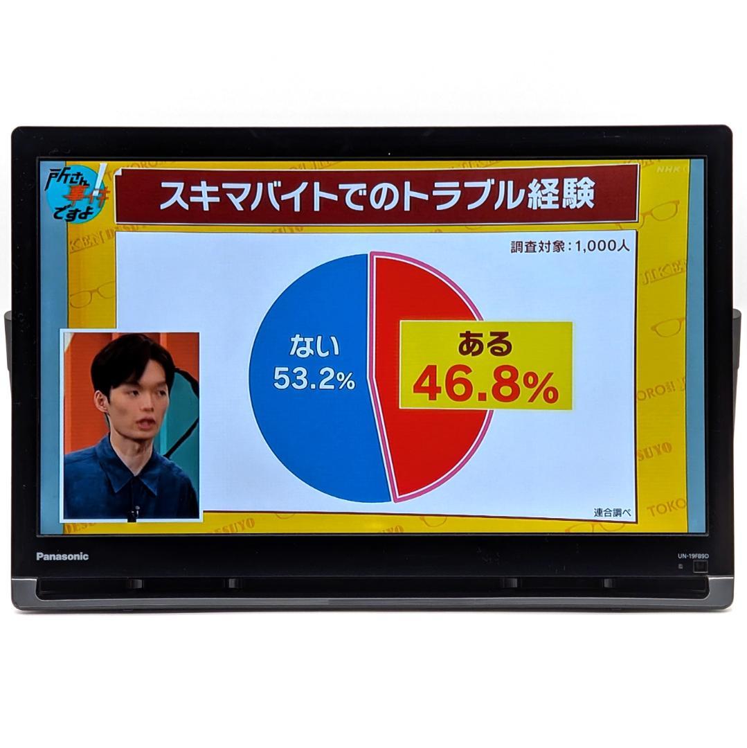 Panasonic ポータブルテレビ プライベートビエラ UN-19FB9