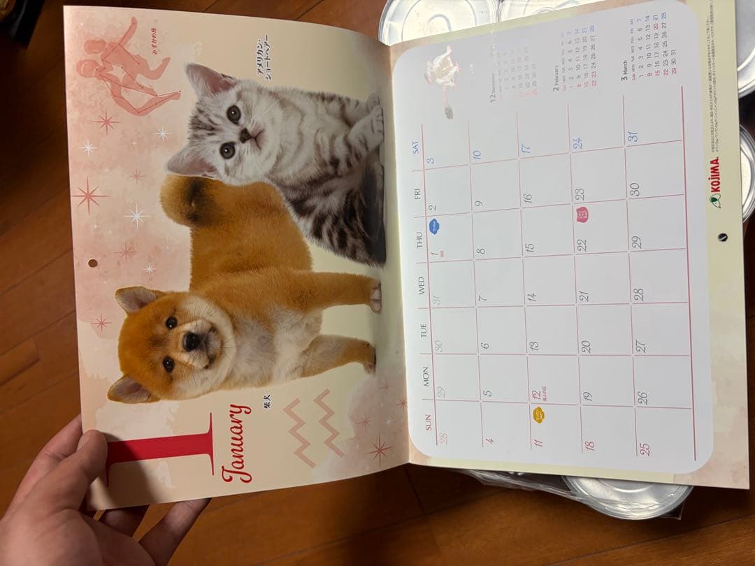 ヒルズ 犬用 k/d 腎臓ケア ビーフ＆野菜入りシチュー缶 156g ×48缶