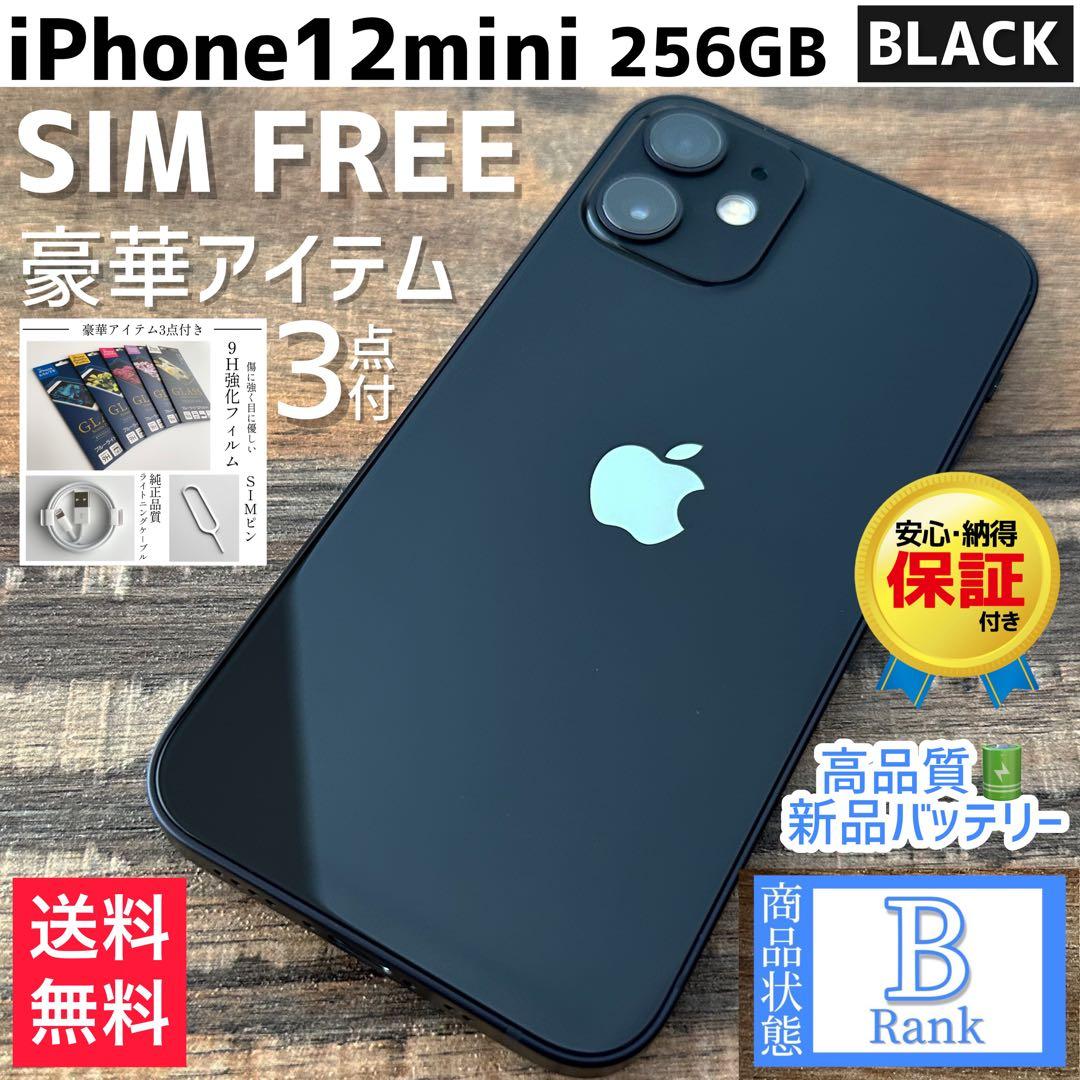 【大容量‼︎】iPhone12mini 本体 Black 256GB SIMフリー