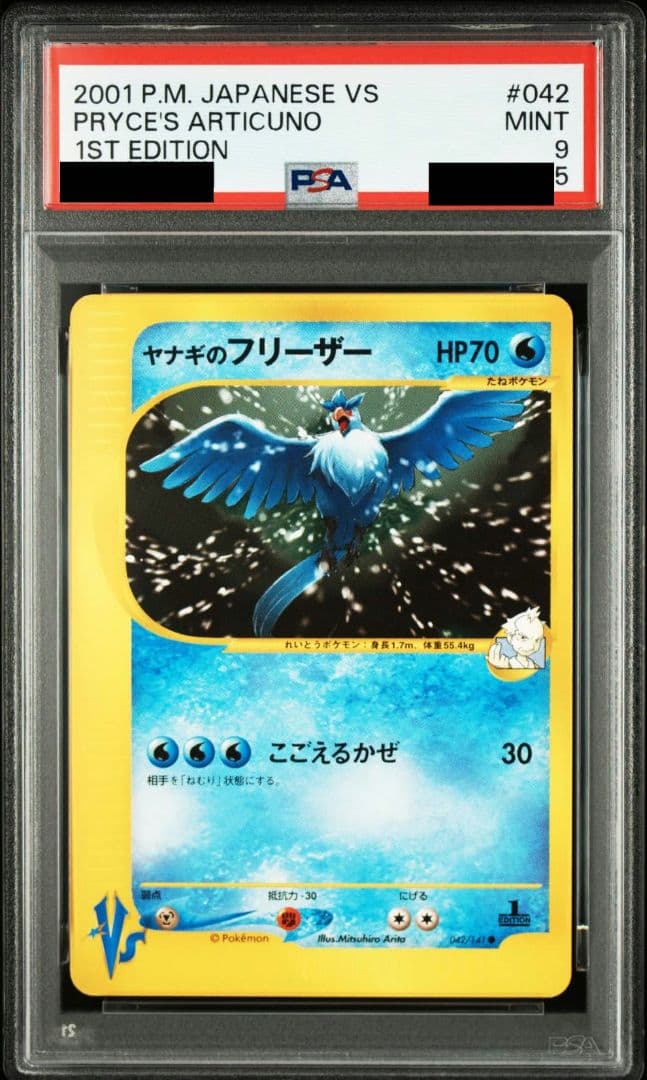 ヤナギのフリーザー カードe PSA