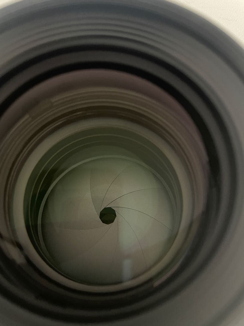 【大幅値下げ】CANON RF85mm F1.2 L USM