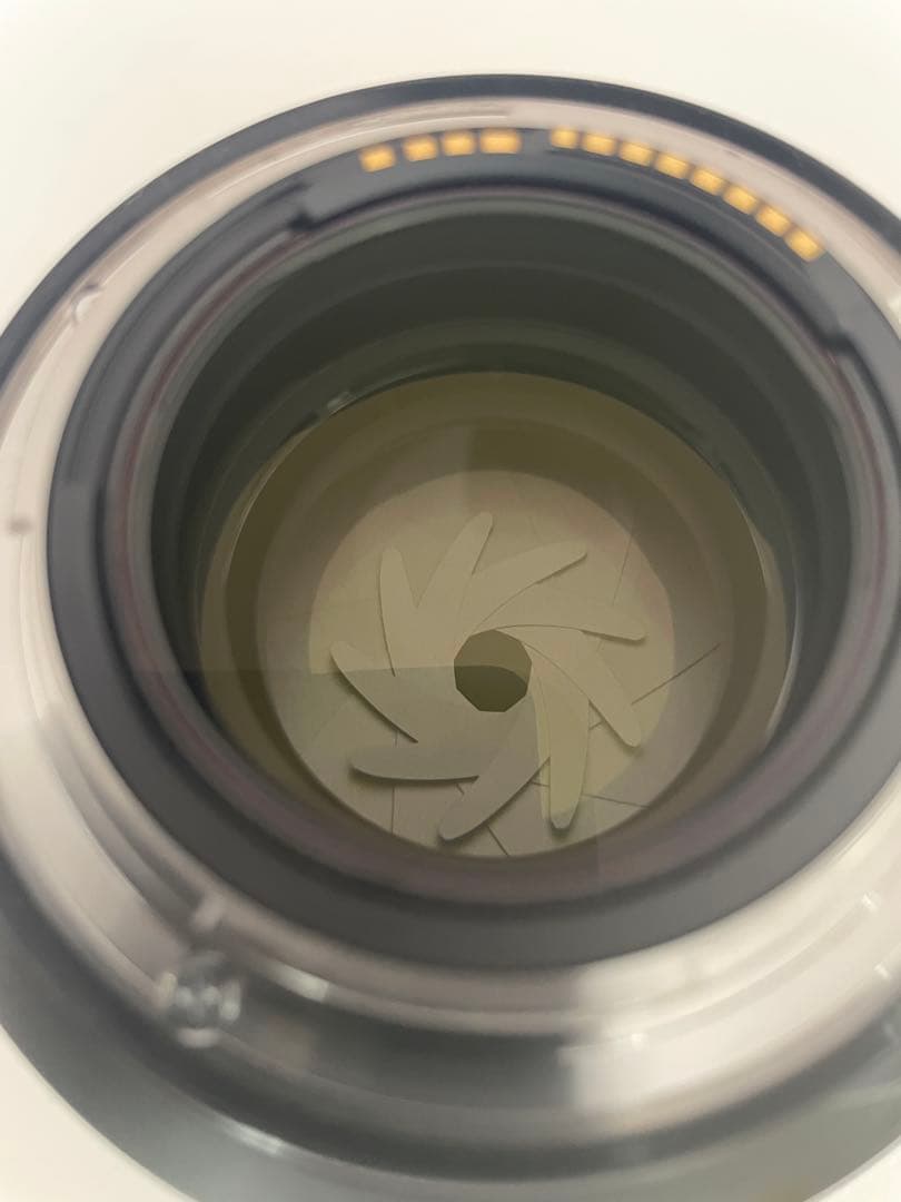 【大幅値下げ】CANON RF85mm F1.2 L USM