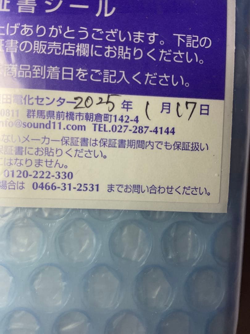 ソニー　ウォークマン　Sony Walkman NW-A307 64GB 新品