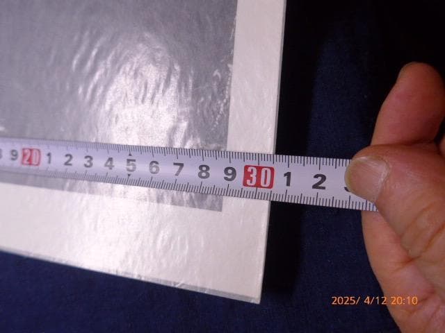 貴重です。イリナ・イオネスコのオリジナルプリント「エヴァ」本物保証