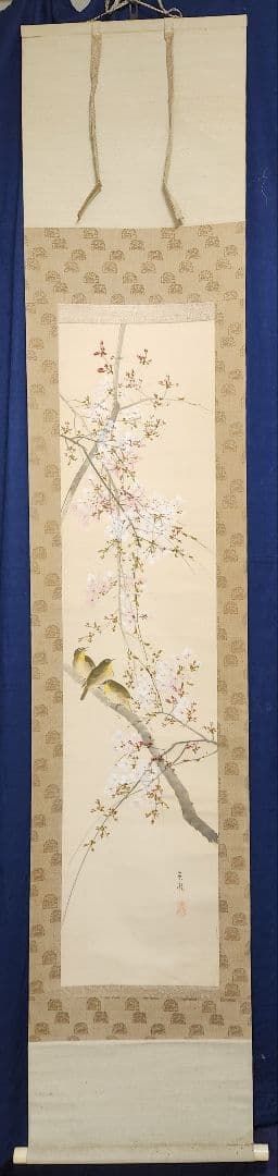 【桜花目白図】今井景樹 2669 サクラにメジロ 共箱 掛け軸 肉筆