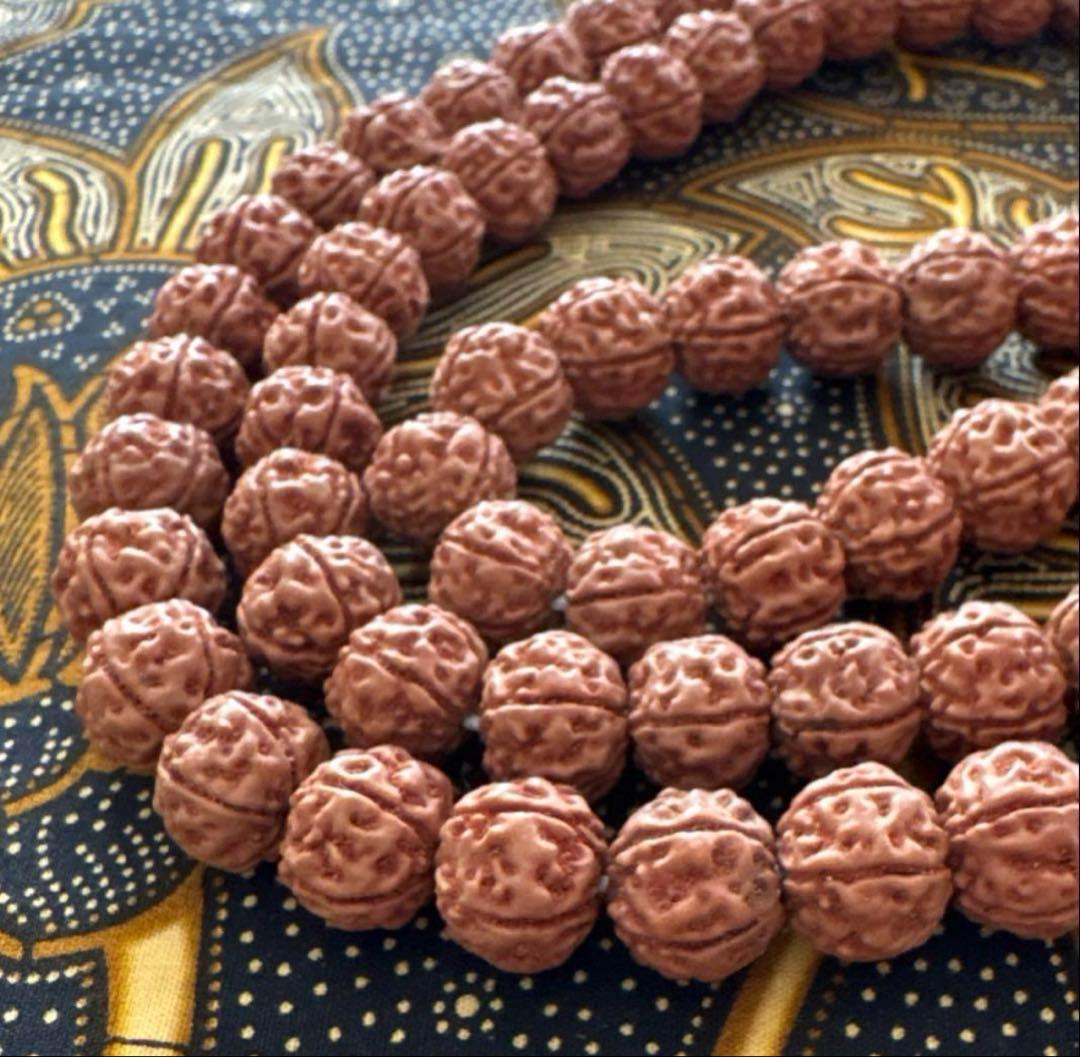 さい　トップガウリシャンカール12ムキマーラー