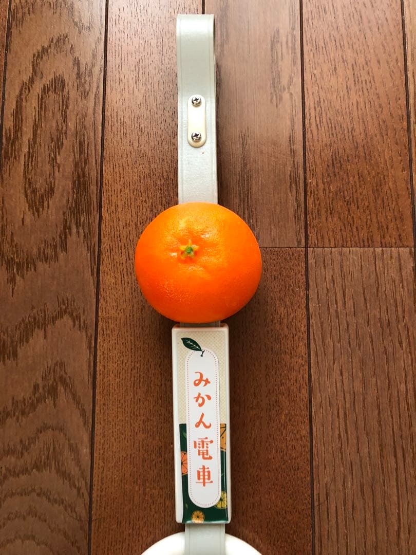 伊予鉄道　吊革