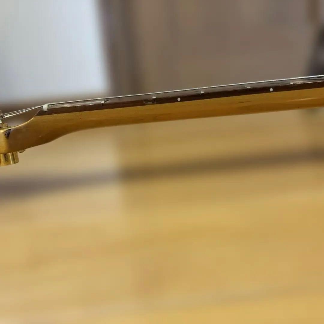 Legend by Aria Pro II 希少 ゴールドパーツ仕様 アーム付