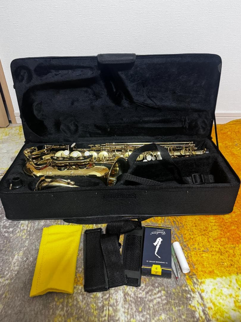 や*す様 Kaerntner アルトサクソフォンセット