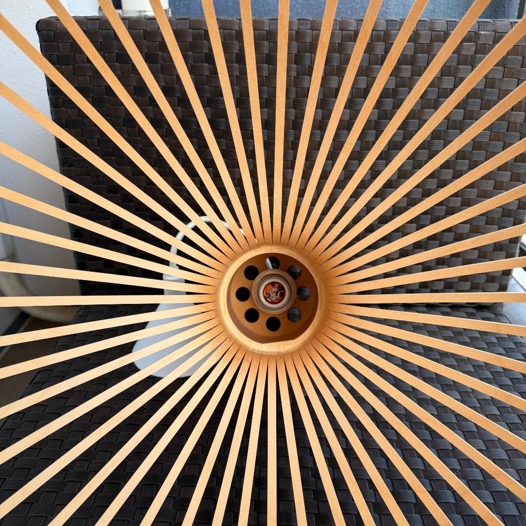 Secto セクト　ペンダントライト　Octo 4240