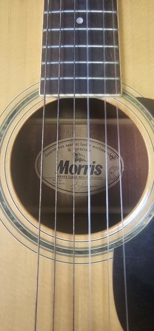 モーリス アコースティックギター F-25