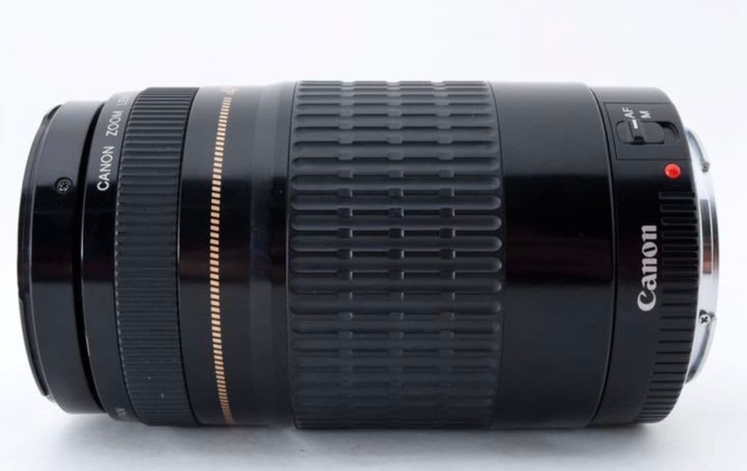 1月14日限定②OP付【超望遠レンズ】Canon EF 75-300mm USM