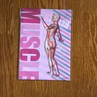 筋次郎コレクション1 クリアファイル3種4枚セット