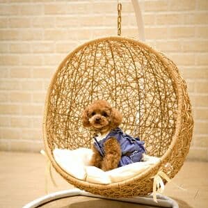 値下げ【ハンギングチェアー】ペット用　犬 猫　ミニハンギング