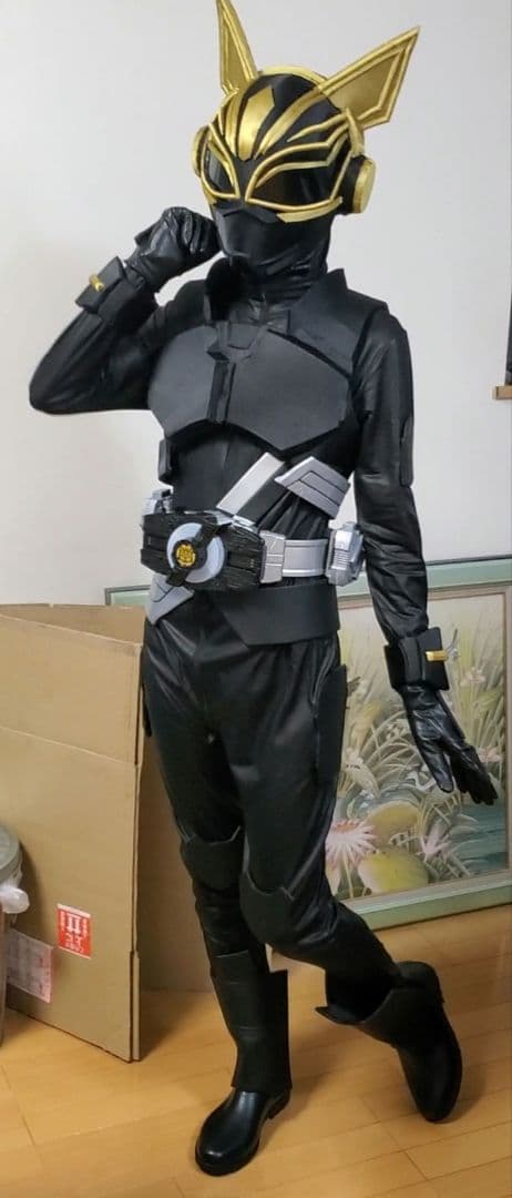 仮面ライダーナーゴ エントリーレイズフォーム コスプレ