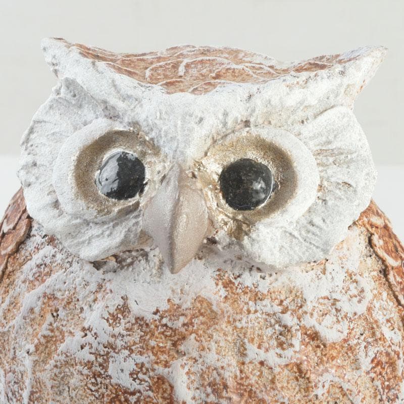 乾漆　梟　香炉　置物　飾り物　燭台　合わせ箱　C　9280