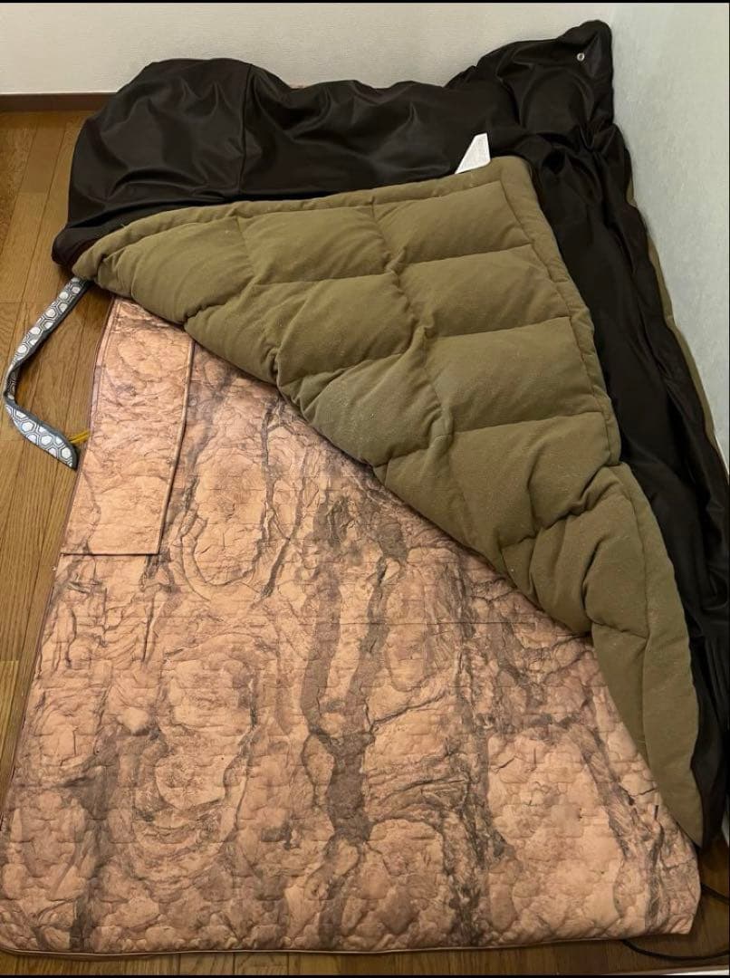 テルスガイザー