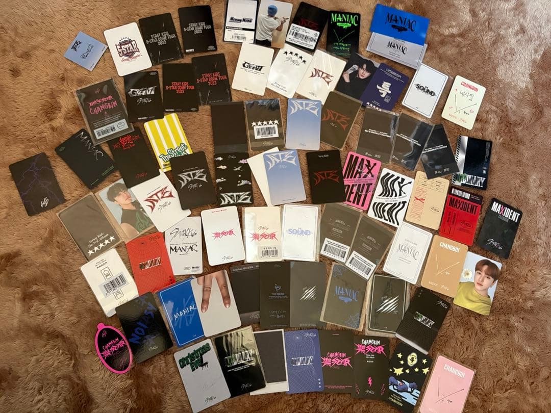 最終値下げ✨️StrayKids チャンビン Dwaekki トレカ&ぬいぐるみ