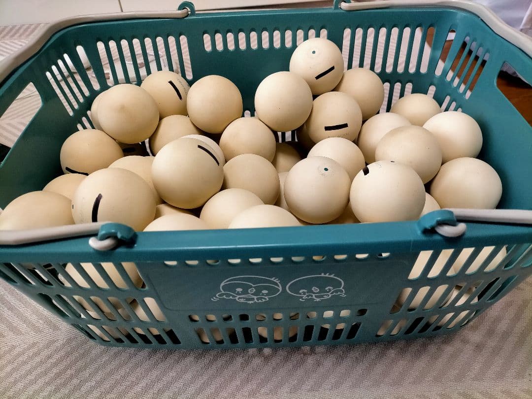 ソフトテニスボール【87球】ケンコーボール