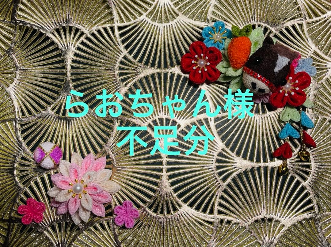 らおちゃん様　不足分