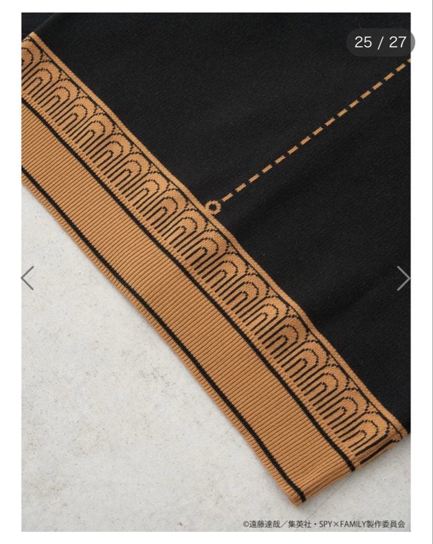 SPY×FAMILY　イーデン校制服イメージ　ニットカーディガン