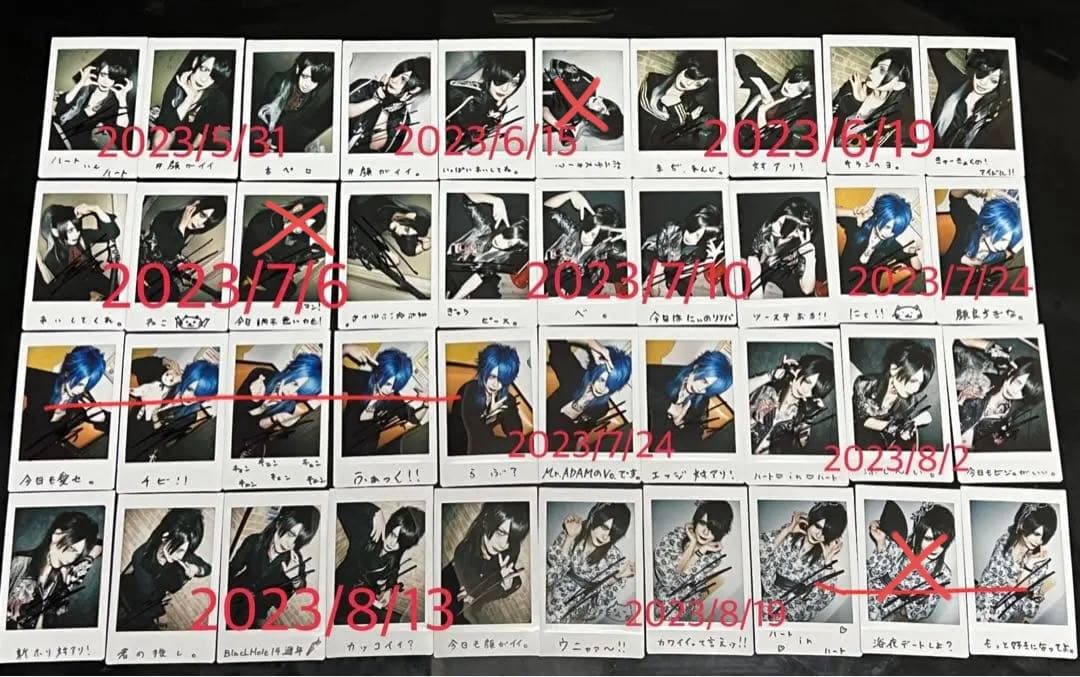 Ms.EVA/雹夢/チェキ　115枚