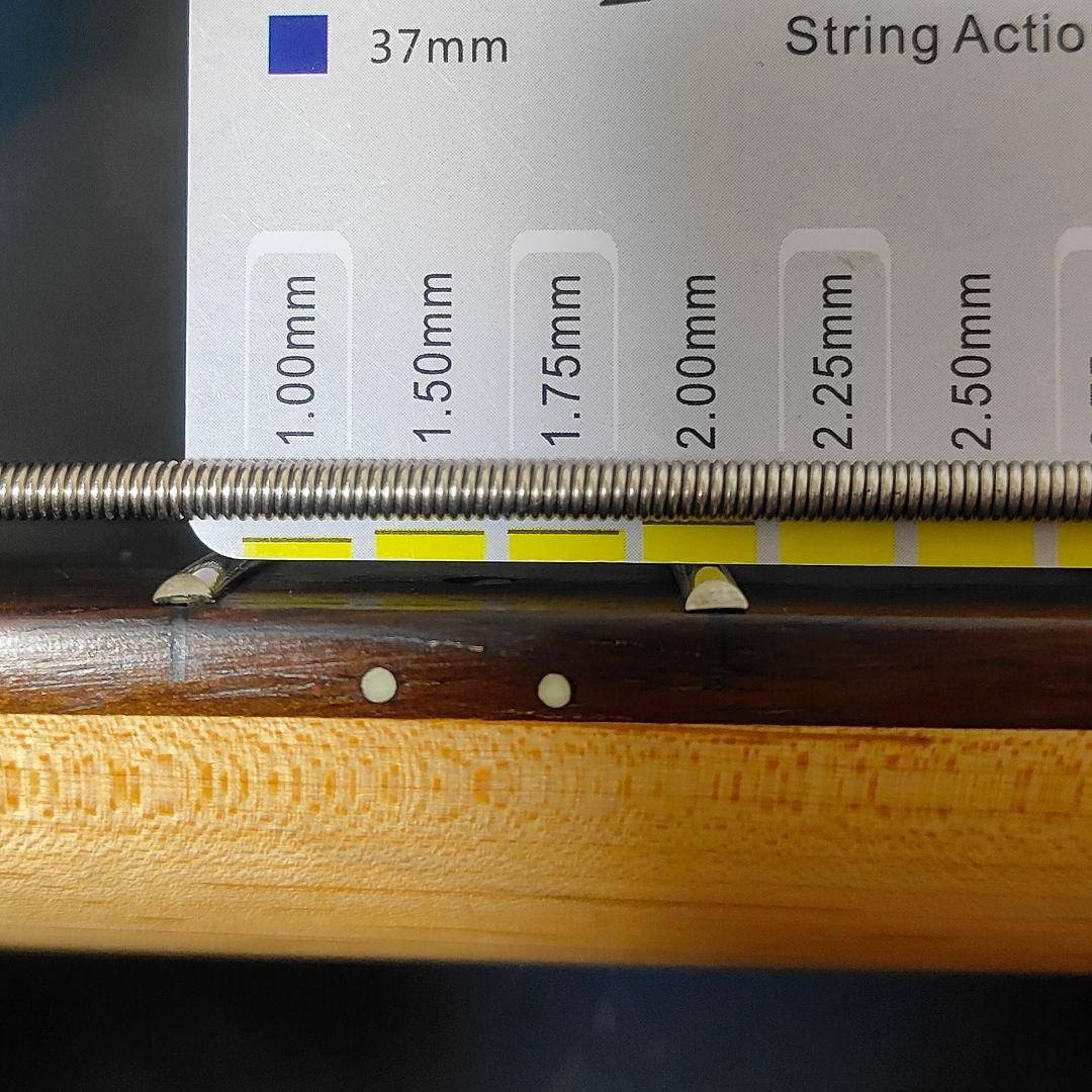 Aria pro 2 アリアプロ2 5弦ベース アクティブ 本革ストラップ付き