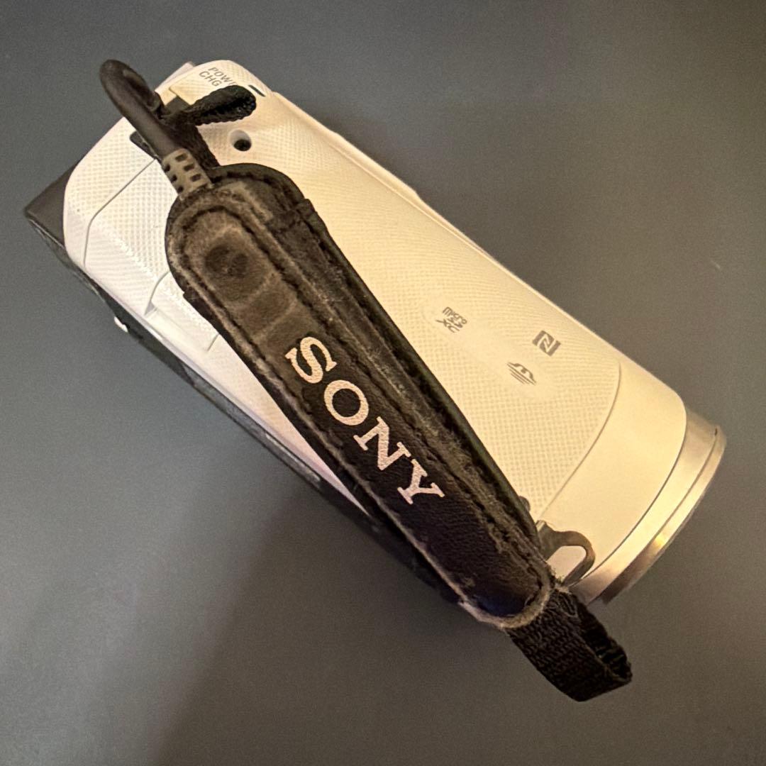 SONY HD Handycam HDR-CX480 60倍ズーム