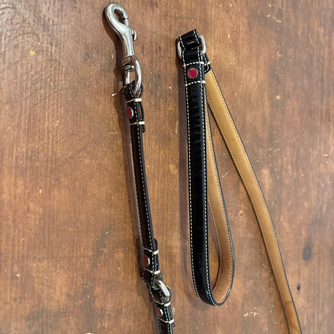 COACHレザー 犬用リードと首輪セット