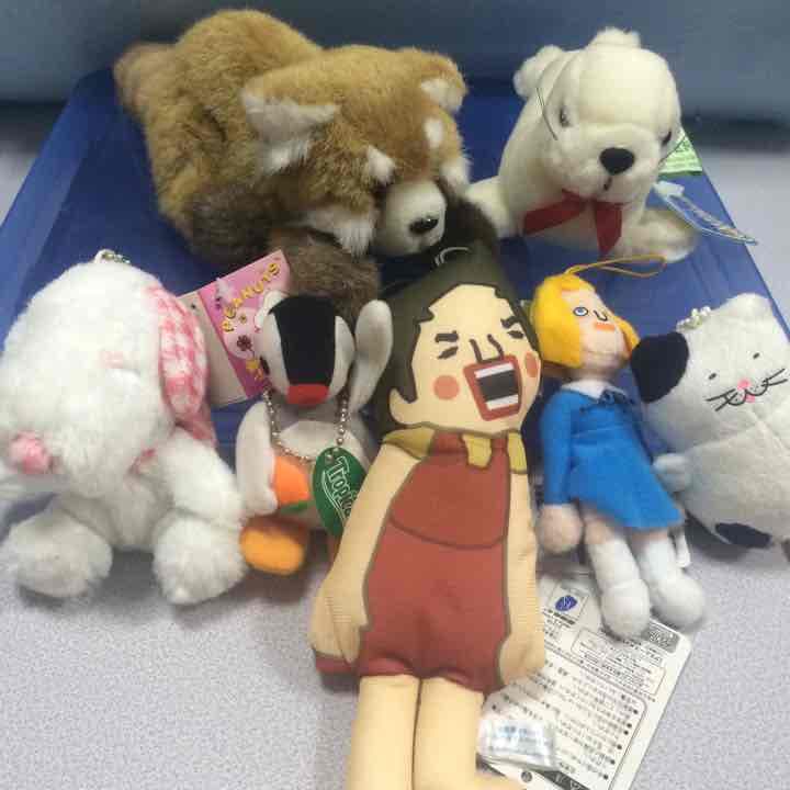 ぬいぐるみ ①