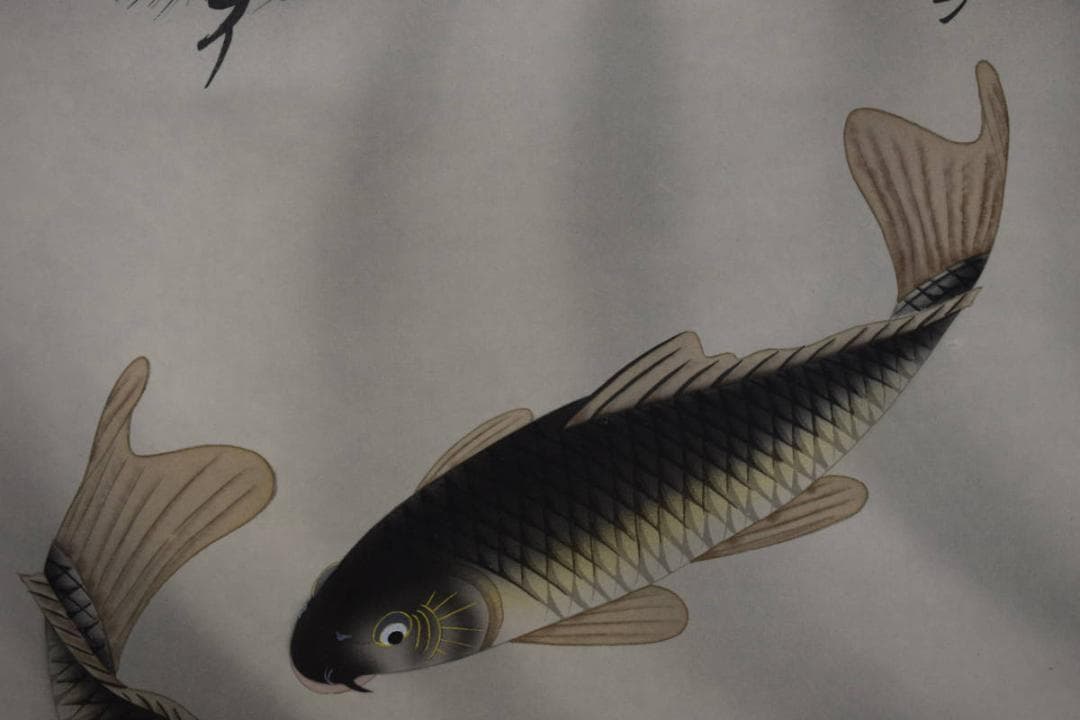 真作/春川/松鯉図/桐共箱付/布袋屋掛軸HF-115