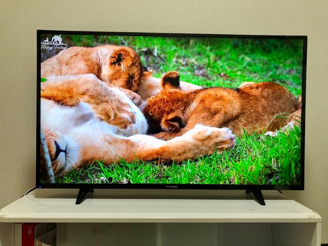 FUNAI　43V型　4K対応液晶テレビFL-43U3040 2022年製