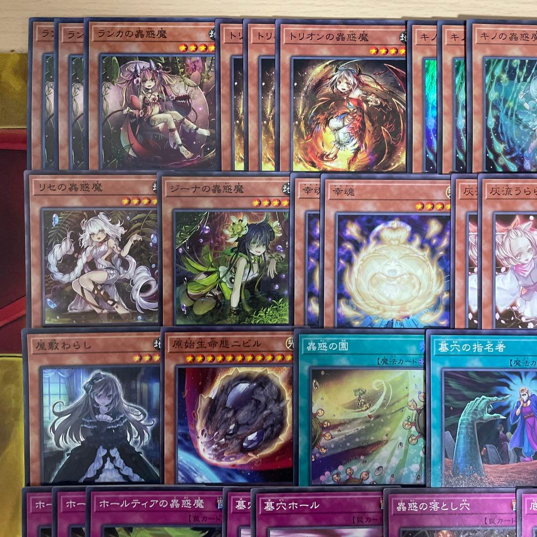 大会優勝構築 蟲惑魔デッキ セラの蟲惑魔 ライカの蟲惑魔 シトリスの蟲惑魔