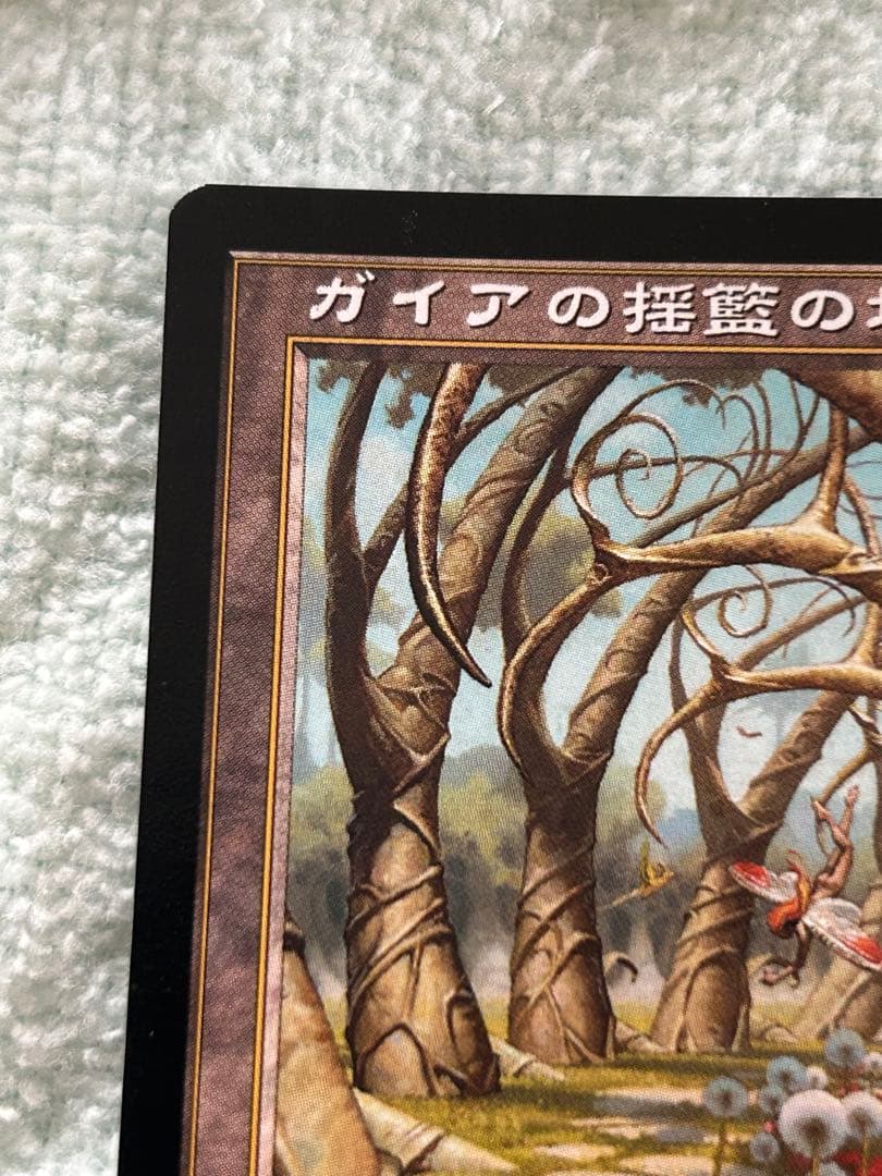 ガイアの揺籃の地 日本語