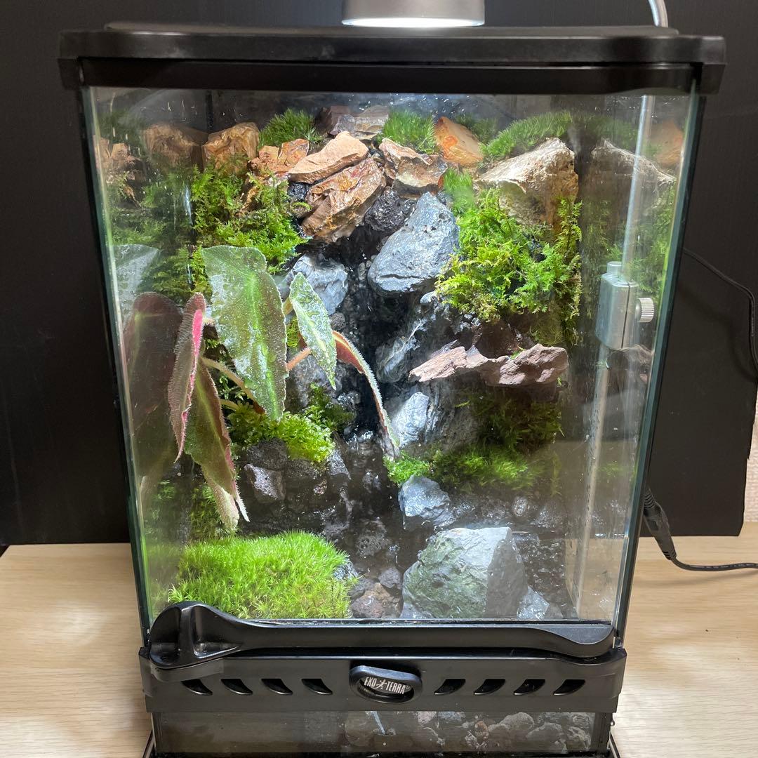 【受注生産】大きな滝のあるアクアテラリウム