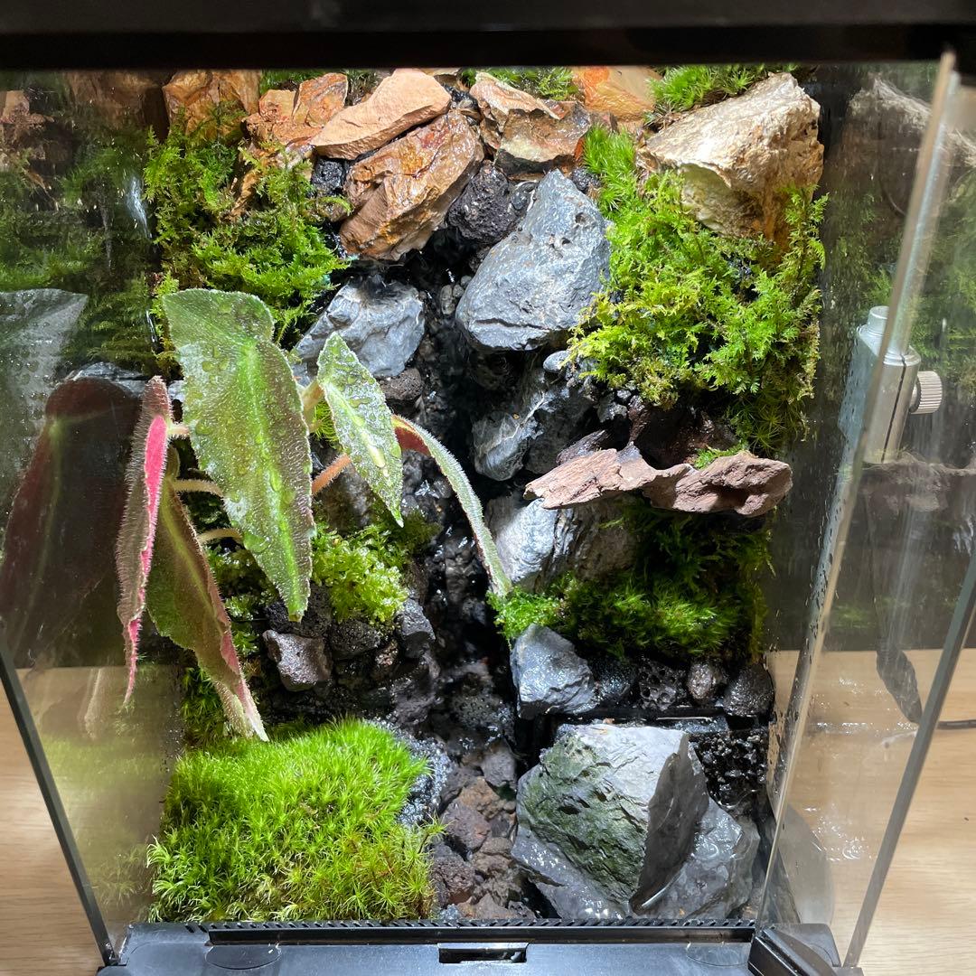 【受注生産】大きな滝のあるアクアテラリウム