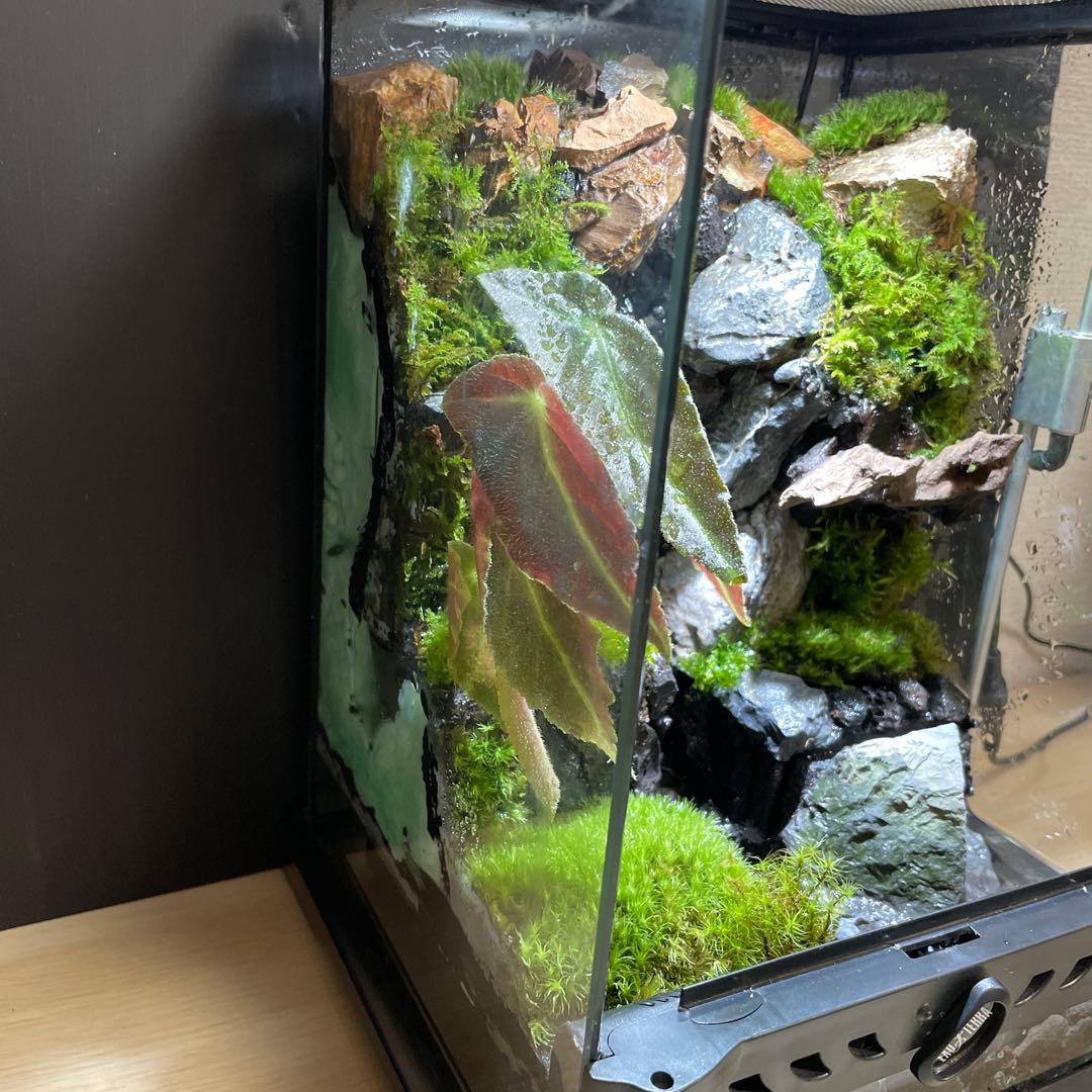 【受注生産】大きな滝のあるアクアテラリウム