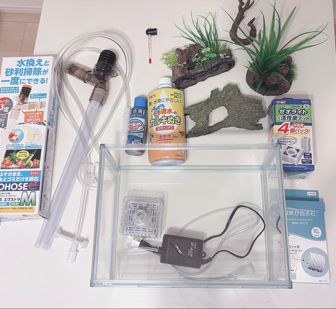 始めて飼育簡単一式セット