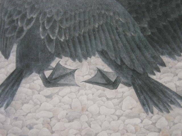 齋藤満栄、【鵜】、希少な額装用画集より、新品額装付、状態良好