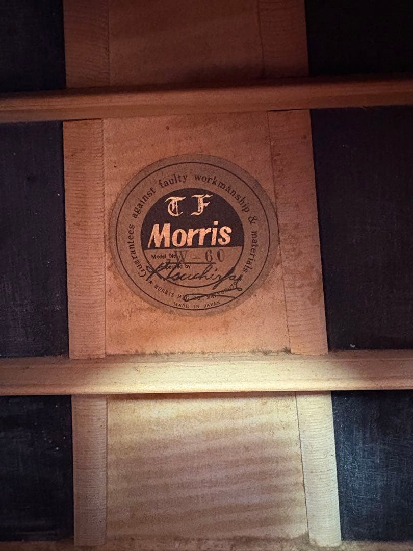 モーリス MORRIS アコースティックギター W-60