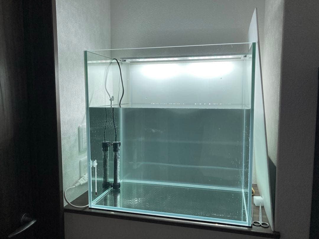 9/13ロボコン様購入予定 60cmオールガラス水槽600×450×600