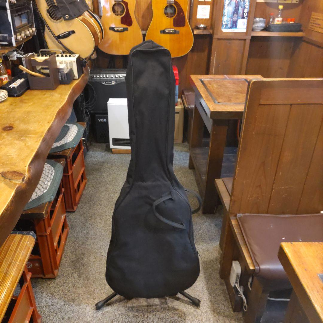 YAMAHA AEX500 (管理ヒナ)