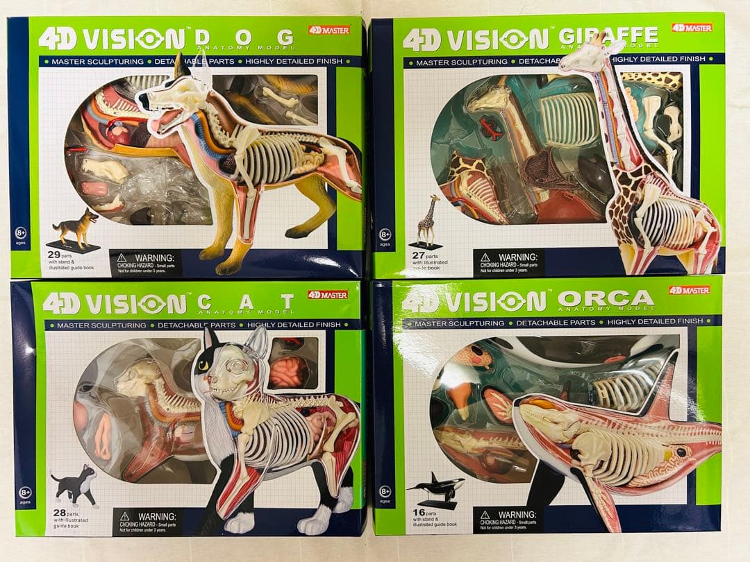 スカイネット　立体パズル　4D Vision 動物解剖模型セット　青島文化教材社