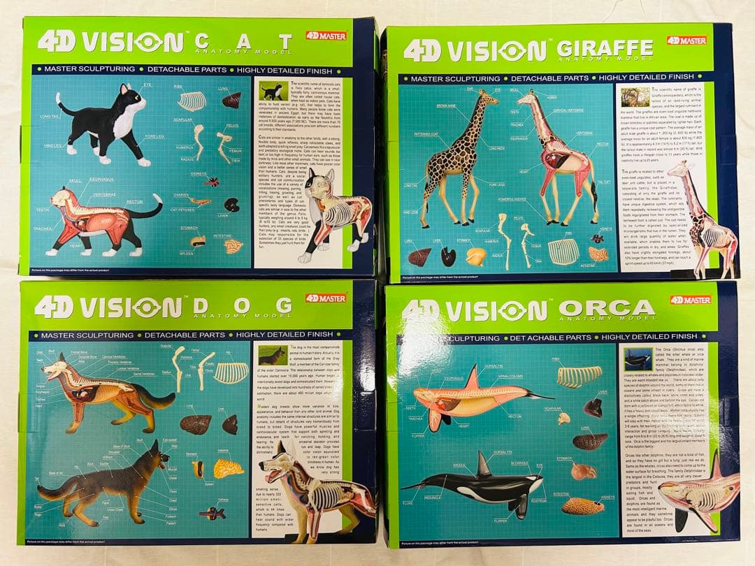 スカイネット　立体パズル　4D Vision 動物解剖模型セット　青島文化教材社