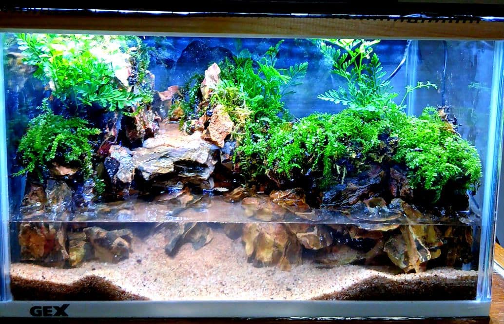 すー様オーダーページ 水槽