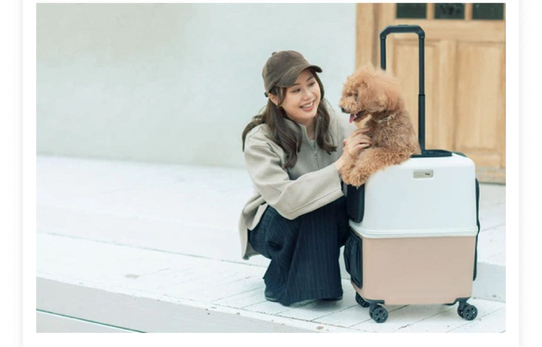 PET CARRY iCO Lサイズ ピンクベージュ×ホワイト